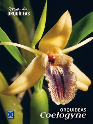 Mestre das Orquídeas - Magazine